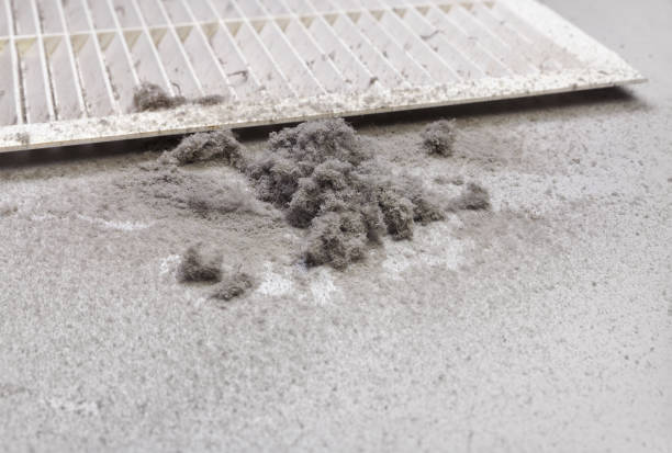 Best Residential Air Duct Cleaning  in Freedom, CA