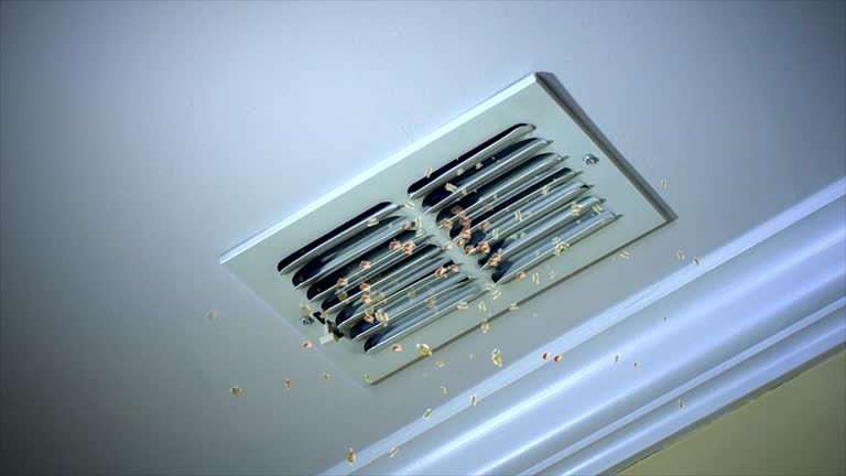 Best Commercial HVAC Duct Cleaning  in Freedom, CA